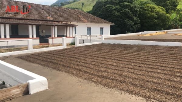 Fazenda Lavoura para Venda em Centro Carmo de Minas-MG