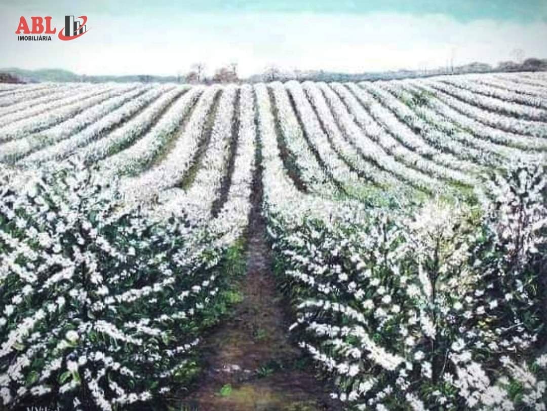 Fazenda para Venda em Centro Piumhi-MG