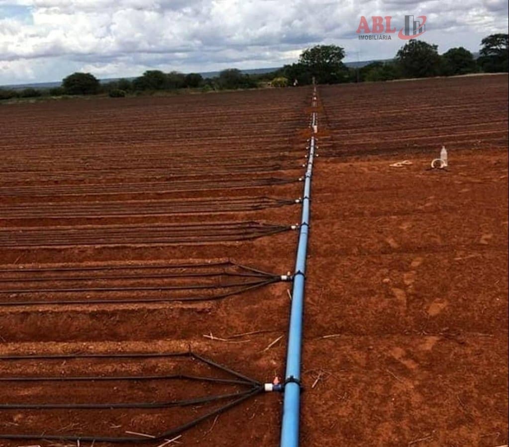 Fazenda para Venda em Irecê-BA