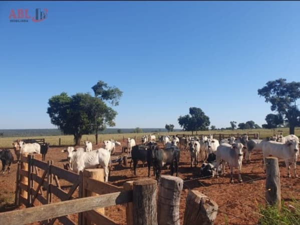 Fazenda para Venda em Centro Nova Andradina-MS