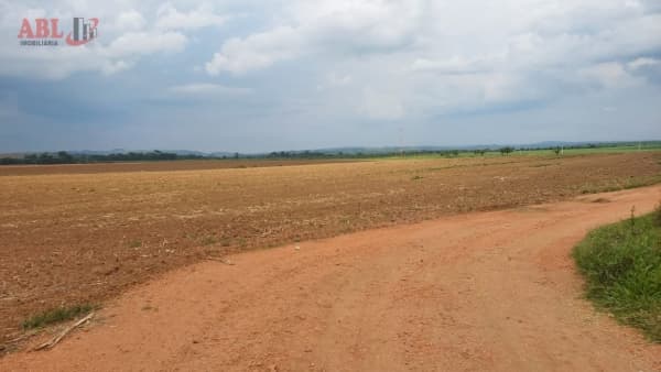 Fazenda Lavoura para Venda em Centro São José do Rio Pardo-SP