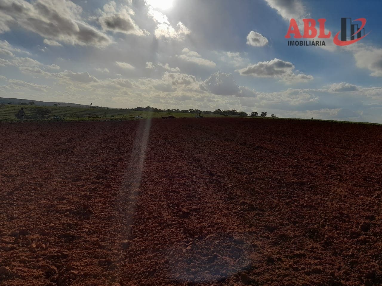 FAZENDA PRODUTORA DE LARANJA