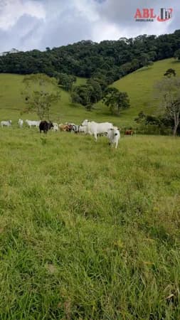 Lote/Terreno em Camanducaia - Centro