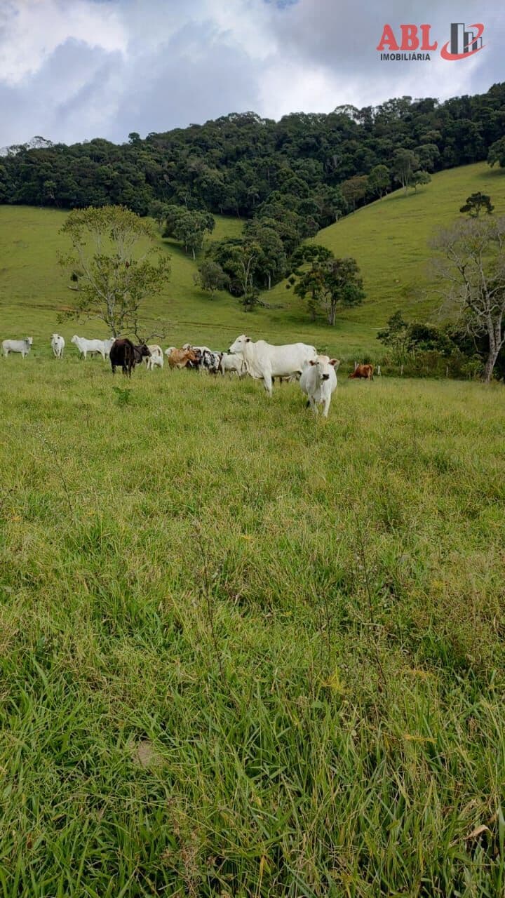 Lote/Terreno em Camanducaia - Centro