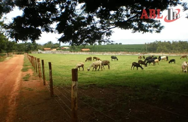 Fazenda/Sítios/Chácaras em Piumhi - Centro