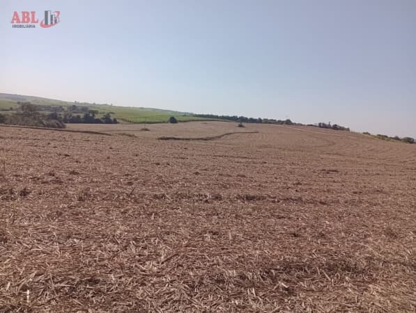 Fazenda para Venda em Nova Tietê Tietê-SP