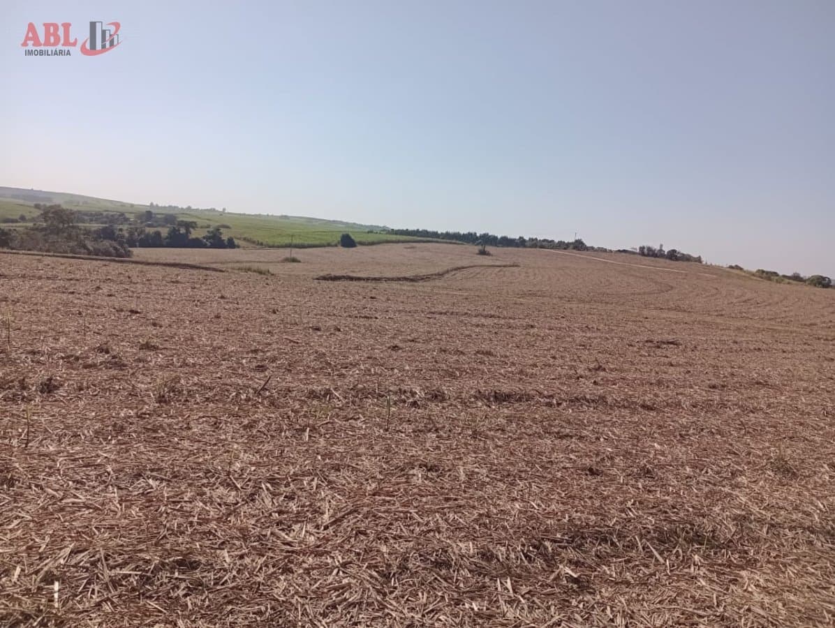 Fazenda para Venda em Nova Tietê Tietê-SP