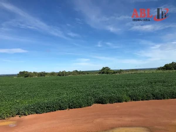 Fazenda/Sítios/Chácaras em Mundo Novo - Centro