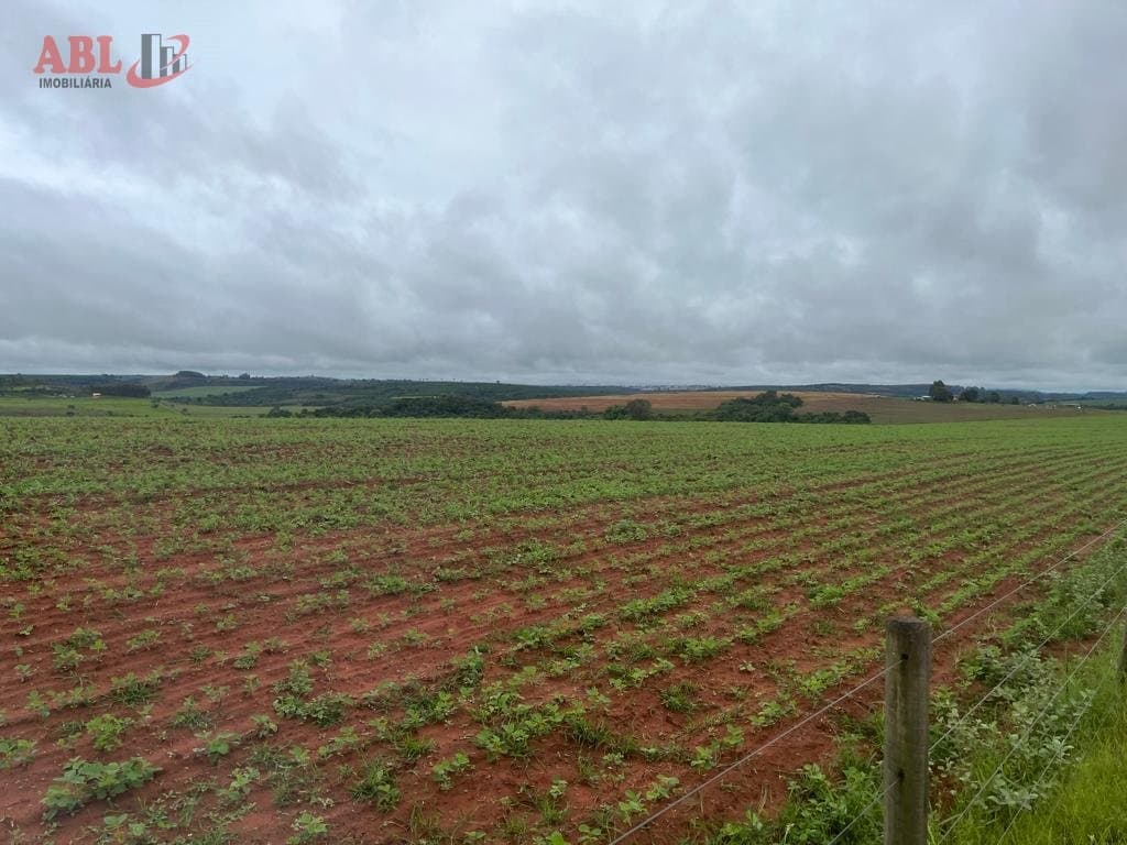 Fazenda Lavoura em Centro São Sebastião do Paraíso-MG