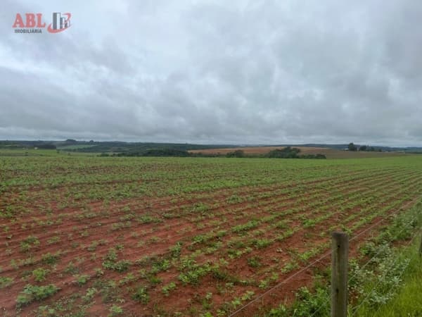 Fazenda Lavoura em Centro São Sebastião do Paraíso-MG