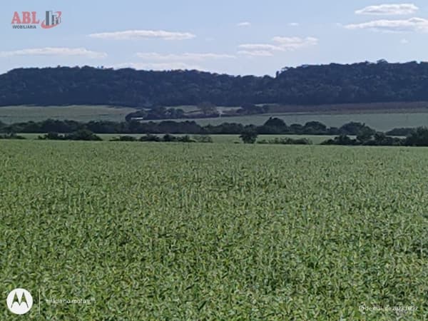 Fazenda para Venda em Centro Campinápolis-MT