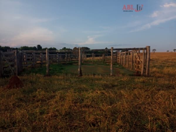 Fazenda para Venda em Centro Monte Alegre de Minas-MG