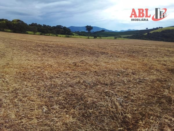 Fazenda/Sítios/Chácaras em Careaçu - Centro