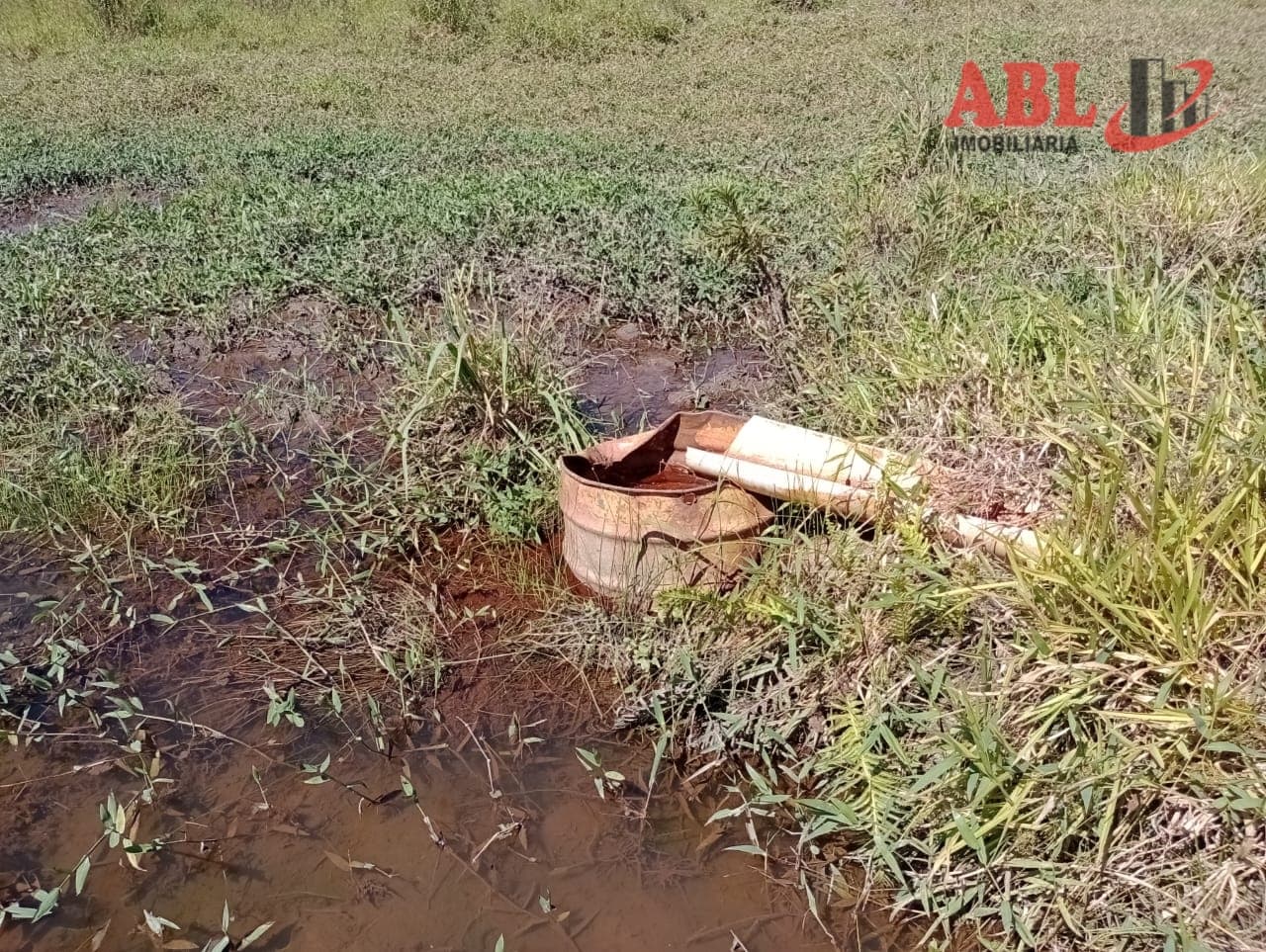 Fazenda Lavoura no município de Socorro-SP