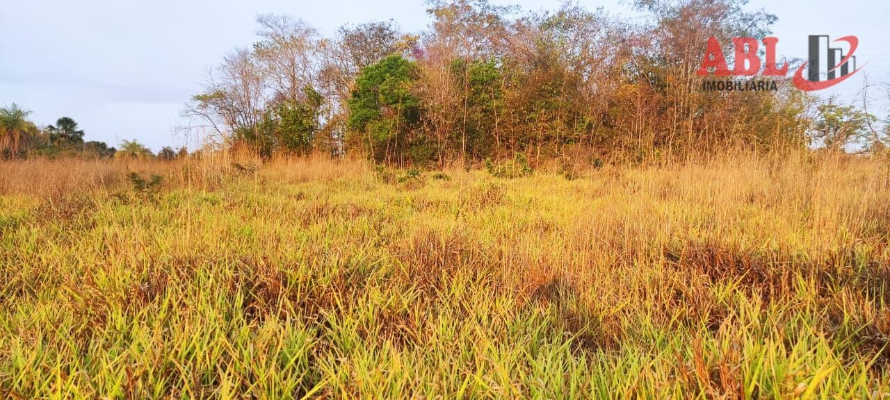 Fazenda/Sítios/Chácaras em Pium - Centro