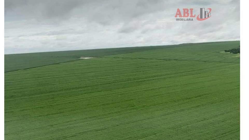 Fazenda Lavoura para Venda em Centro Peixoto de Azevedo-MT