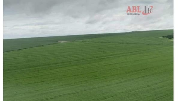 Fazenda Lavoura para Venda em Centro Peixoto de Azevedo-MT