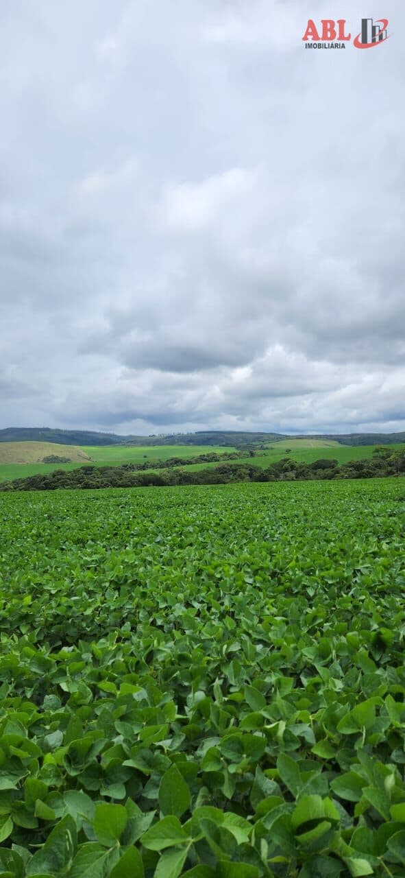 Fazenda/Sítios/Chácaras em Pratinha - Centro