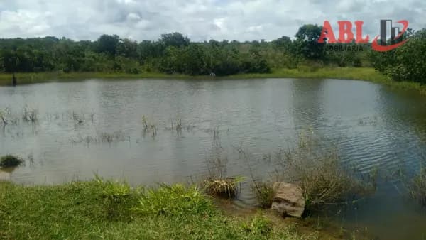Fazenda/Sítios/Chácaras em João Pinheiro - Centro