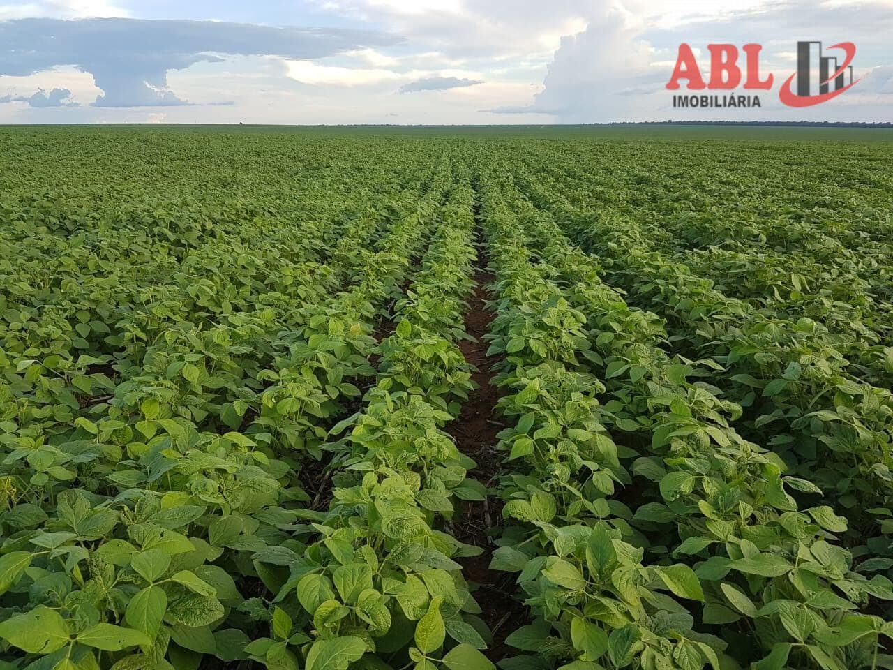 Fazenda/Sítios/Chácaras em Água Boa - Centro
