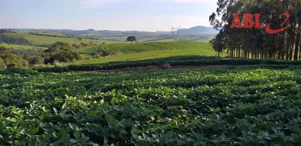 Fazenda/Sítios/Chácaras em Analândia - Centro