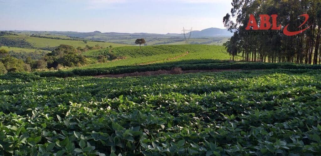 Fazenda/Sítios/Chácaras em Analândia - Centro