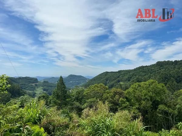 Fazenda/Sítios/Chácaras em Farroupilha - Nova Milano