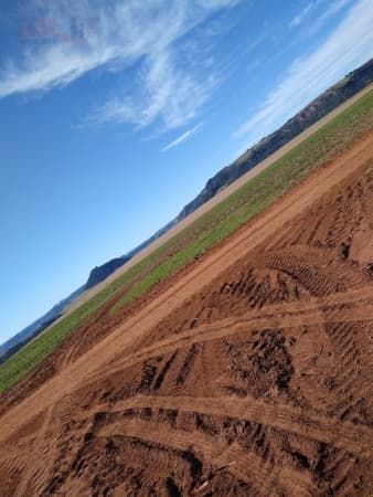 Fazenda Lavoura para Venda em Centro Torrinha-SP