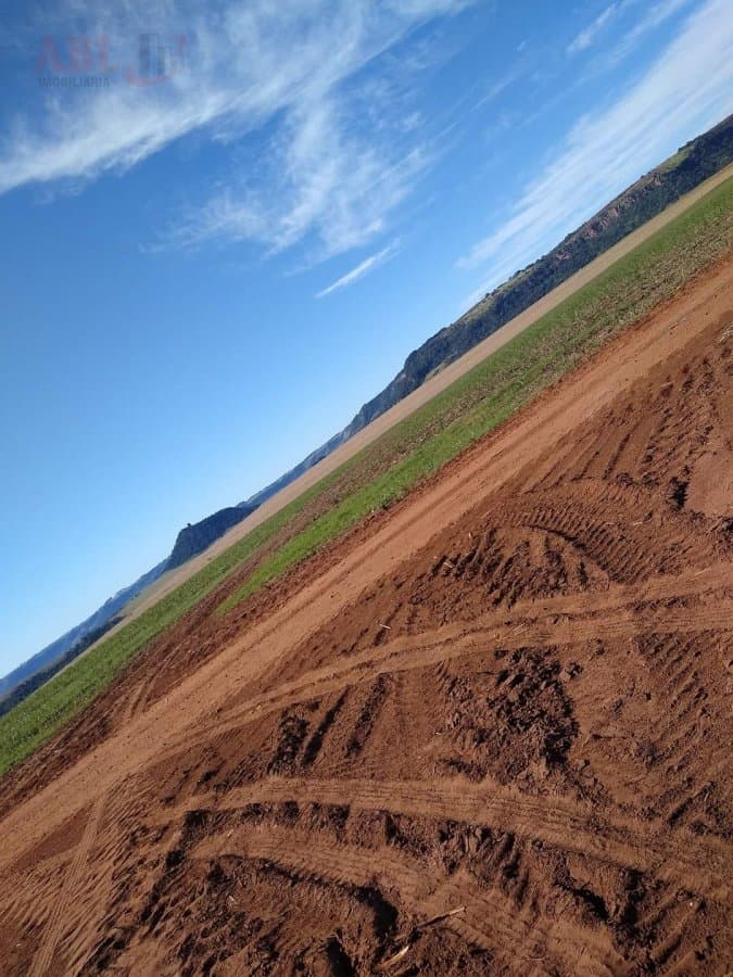 Fazenda Lavoura para Venda em Centro Torrinha-SP