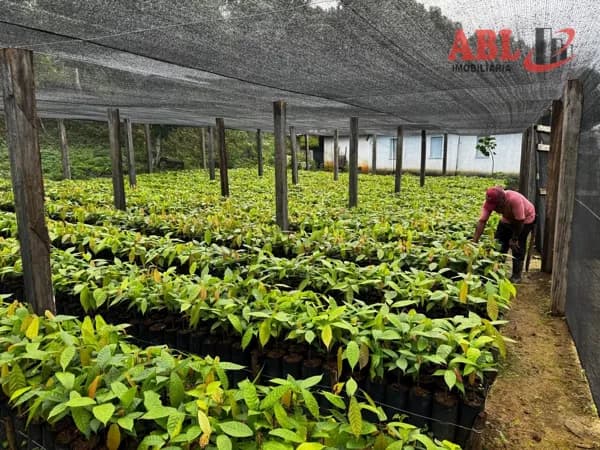 Fazenda/Sítios/Chácaras em Itacaré - Centro