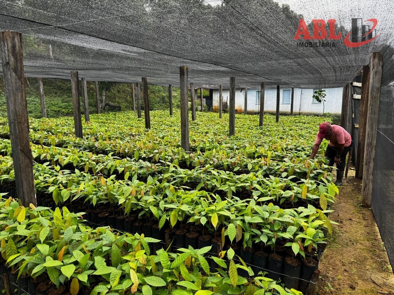 Fazenda/Sítios/Chácaras em Itacaré - Centro