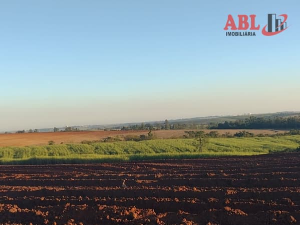 Fazenda Lavoura à 10 km da Rod. Anhanguera