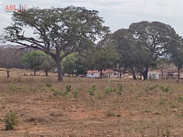 Fazenda para Venda em Centro Curvelo-MG