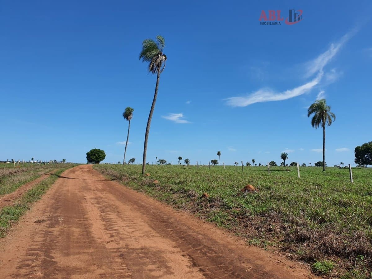 Fazenda Pecuária para Venda em Setor Central Formoso do Araguaia-TO