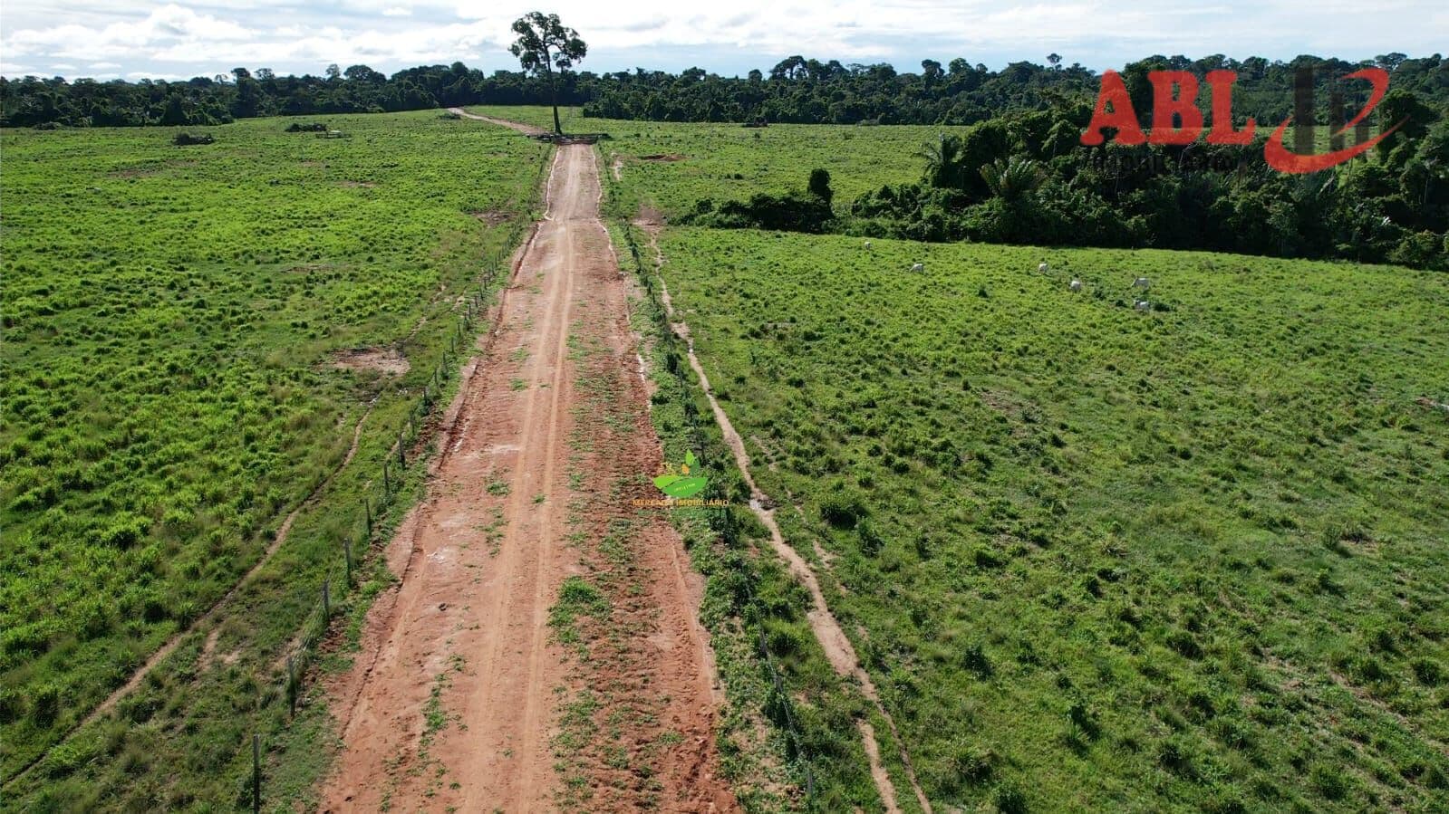 Fazenda/Sítios/Chácaras em Nova Monte Verde - Centro