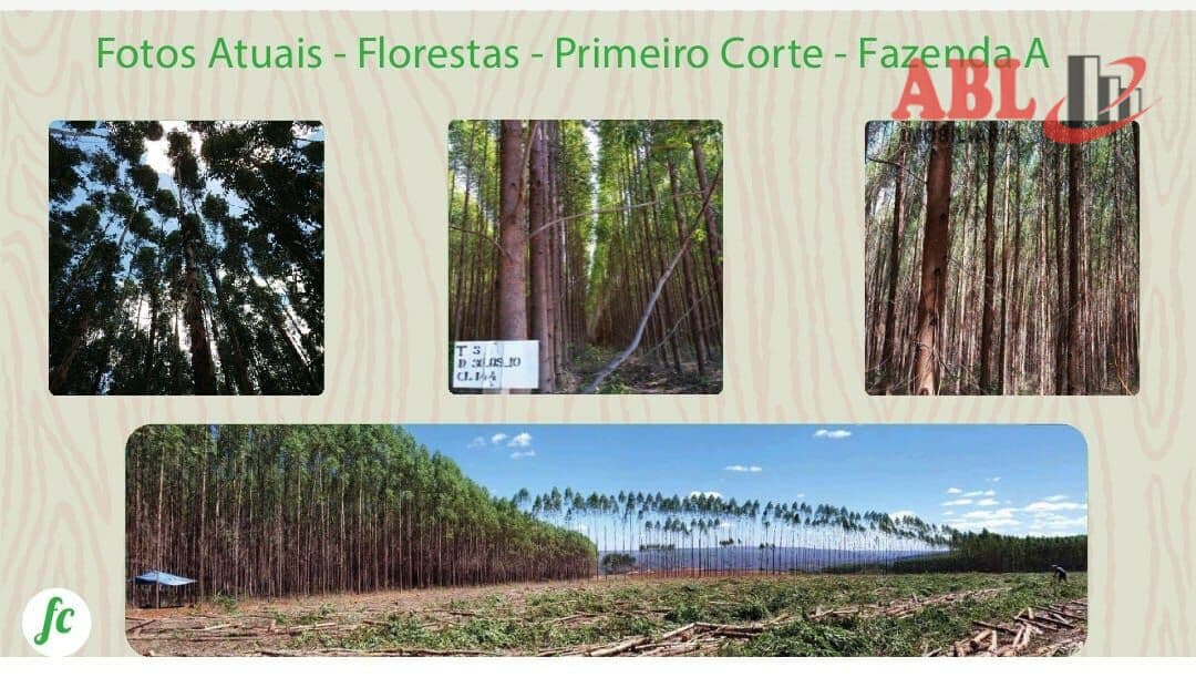 Fazenda/Sítios/Chácaras em Montes Claros - Centro