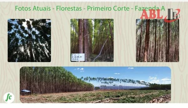 Fazenda/Sítios/Chácaras em Montes Claros - Centro