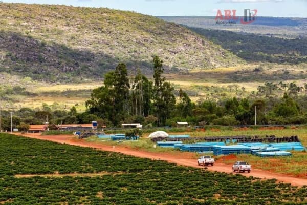 Fazenda Lavoura para Venda em Centro Augusto de Lima-MG