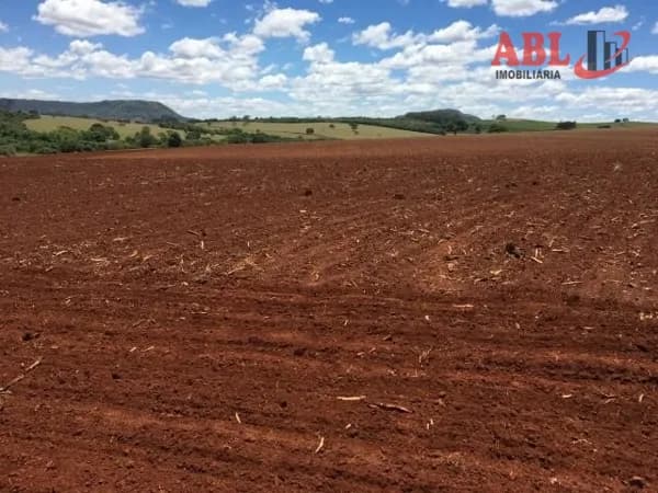 Fazenda/Sítios/Chácaras em Paraíso - Centro