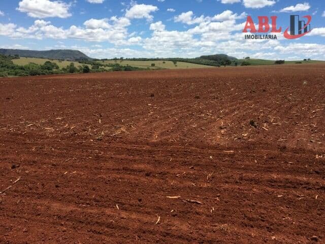 Fazenda/Sítios/Chácaras em Paraíso - Centro
