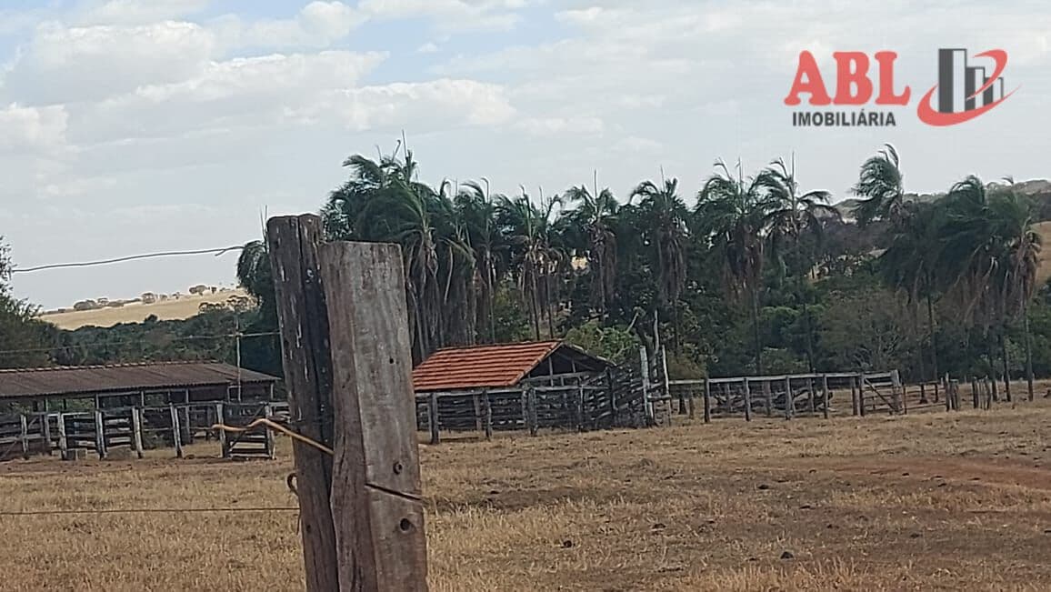 Fazenda/Sítios/Chácaras em Campina Verde - Centro