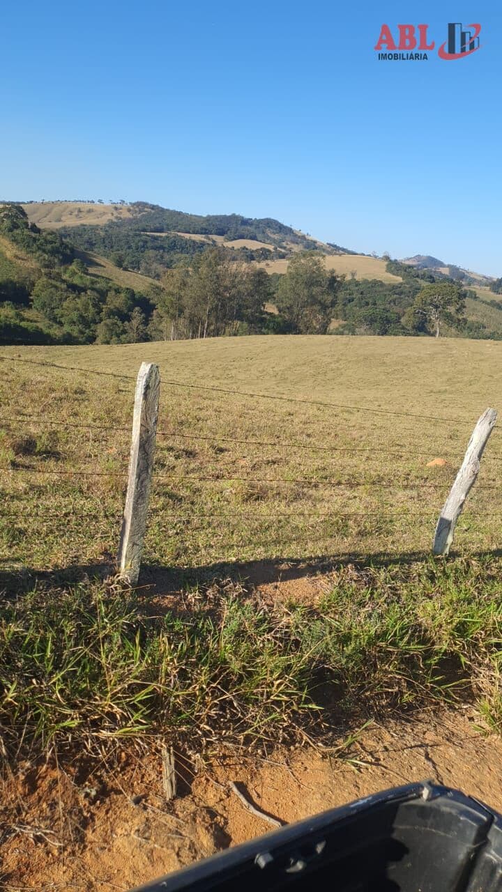 Fazenda/Sítios/Chácaras em Bueno Brandão - Centro