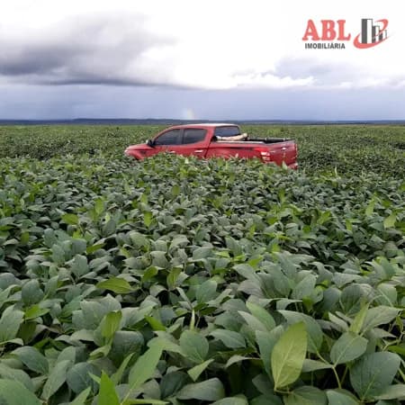 Fazenda/Sítios/Chácaras em Novo Acordo - Centro