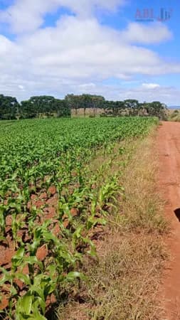 Fazenda/Sítios/Chácaras em Fortaleza de Minas - Centro