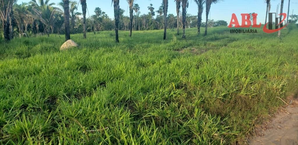 Fazenda/Sítios/Chácaras em Recursolândia - Centro