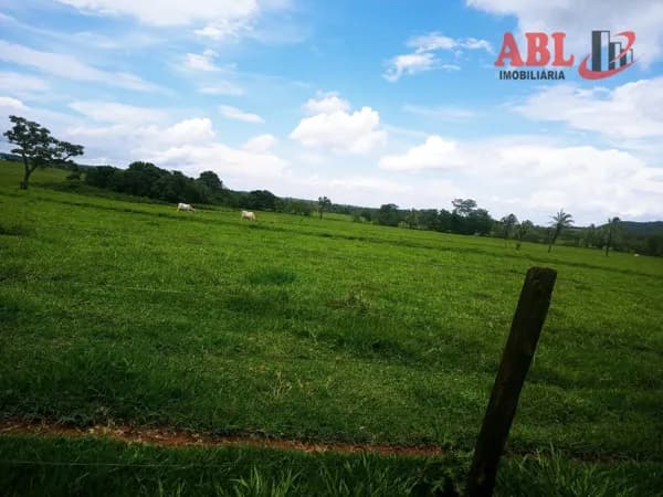 Fazenda/Sítios/Chácaras em Campina Verde - Centro