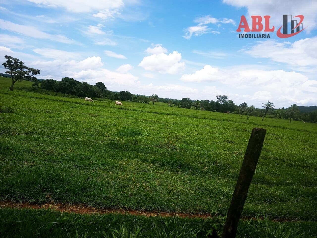 Fazenda/Sítios/Chácaras em Campina Verde - Centro