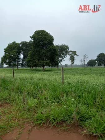 Fazenda/Sítios/Chácaras em Jussara - Centro