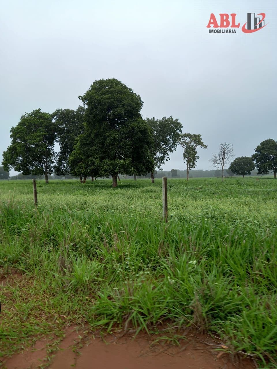 Fazenda/Sítios/Chácaras em Jussara - Centro