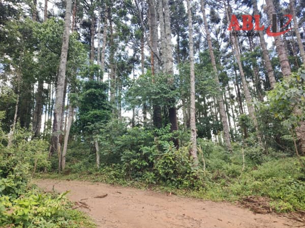 Terreno à 10 km da cidade